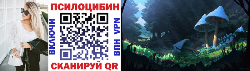 Купить где  Славянск-на-Кубани  Галлюциногенные грибы Psilocybine cubensis 